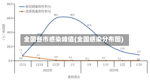 全国各市感染峰值(全国感染分布图)-第2张图片
