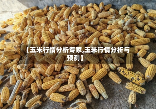 【玉米行情分析专家,玉米行情分析与预测】