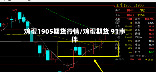 鸡蛋1905期货行情/鸡蛋期货 91事件