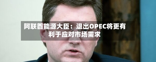 阿联酋能源大臣：退出OPEC将更有利于应对市场需求-第2张图片