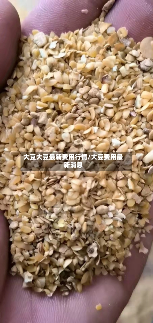 大豆大豆最新费用行情/大豆费用最新消息-第3张图片