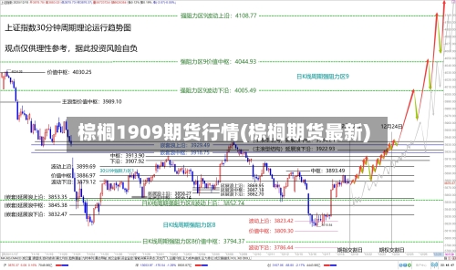 棕榈1909期货行情(棕榈期货最新)