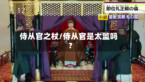 侍从官之杖/侍从官是太监吗?-第2张图片