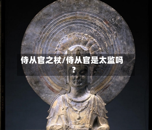 侍从官之杖/侍从官是太监吗?