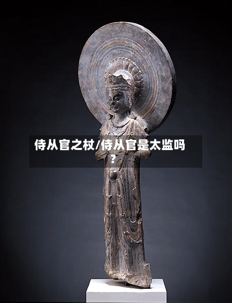 侍从官之杖/侍从官是太监吗?-第3张图片