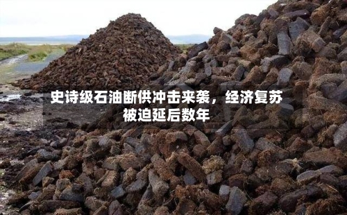 史诗级石油断供冲击来袭，经济复苏被迫延后数年