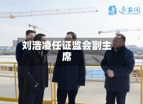 刘浩凌任证监会副主席-第3张图片