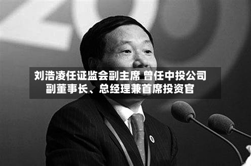 刘浩凌任证监会副主席 曾任中投公司副董事长、总经理兼首席投资官-第2张图片