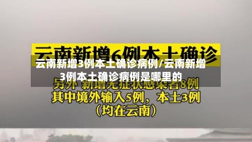 云南新增3例本土确诊病例/云南新增3例本土确诊病例是哪里的