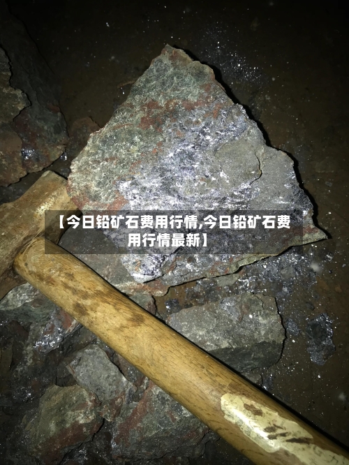 【今日铅矿石费用行情,今日铅矿石费用行情最新】-第3张图片