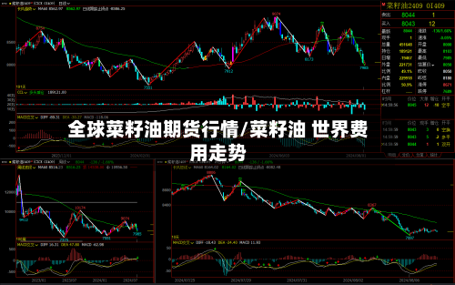 全球菜籽油期货行情/菜籽油 世界费用走势