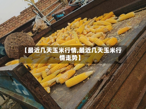 【最近几天玉米行情,最近几天玉米行情走势】