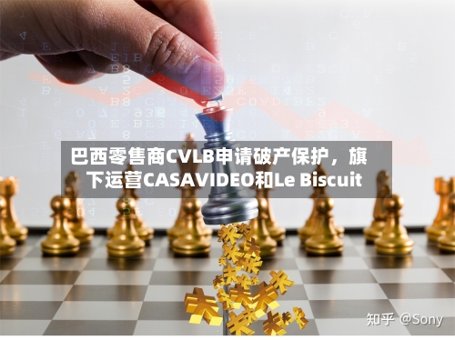 巴西零售商CVLB申请破产保护	，旗下运营CASAVIDEO和Le Biscuit-第2张图片