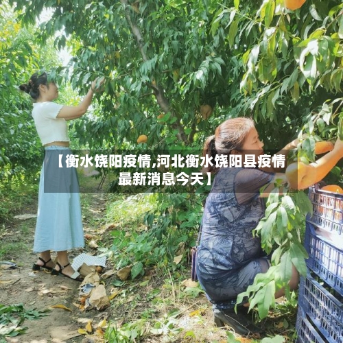 【衡水饶阳疫情,河北衡水饶阳县疫情最新消息今天】