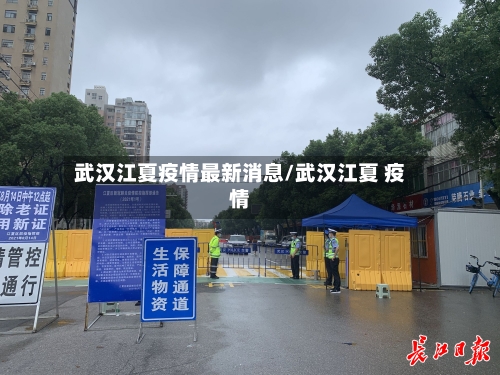 武汉江夏疫情最新消息/武汉江夏 疫情