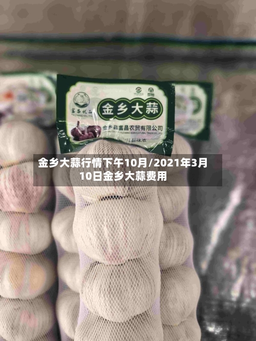 金乡大蒜行情下午10月/2021年3月10日金乡大蒜费用-第2张图片