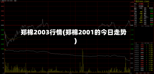 郑棉2003行情(郑棉2001的今日走势)