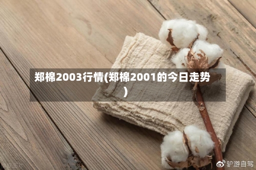 郑棉2003行情(郑棉2001的今日走势)-第2张图片