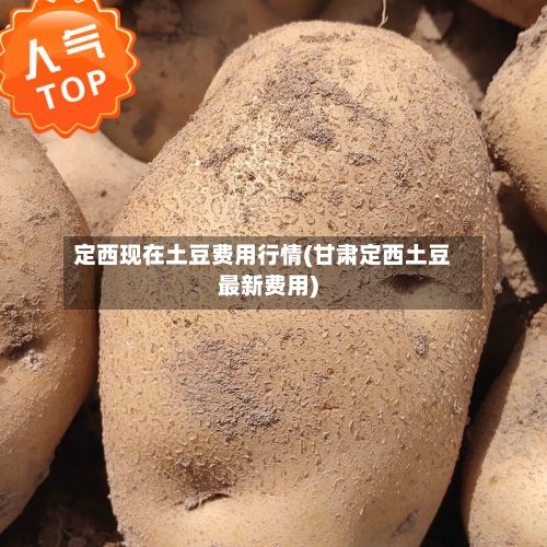 定西现在土豆费用行情(甘肃定西土豆最新费用)