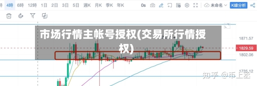 市场行情主帐号授权(交易所行情授权)