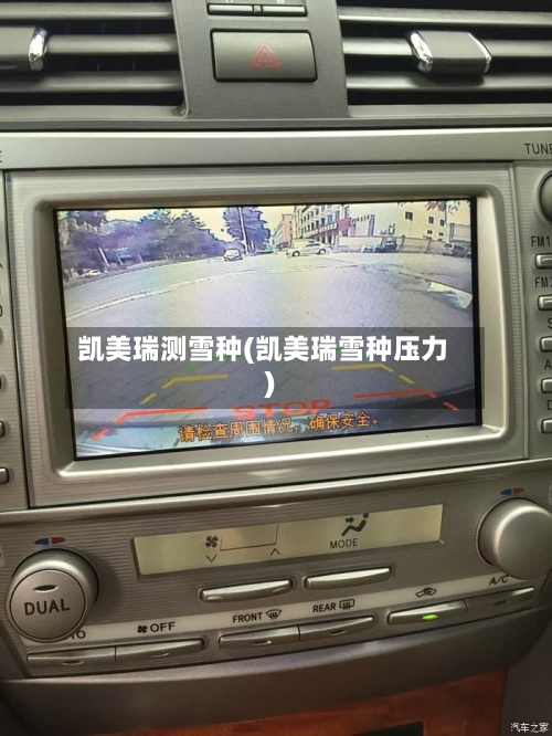 凯美瑞测雪种(凯美瑞雪种压力)-第2张图片