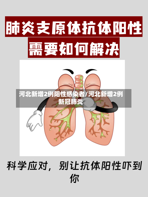 河北新增2例阳性感染者/河北新增2例新冠肺炎-第2张图片
