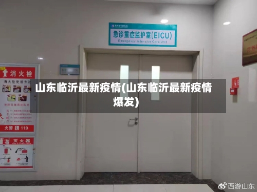 山东临沂最新疫情(山东临沂最新疫情爆发)