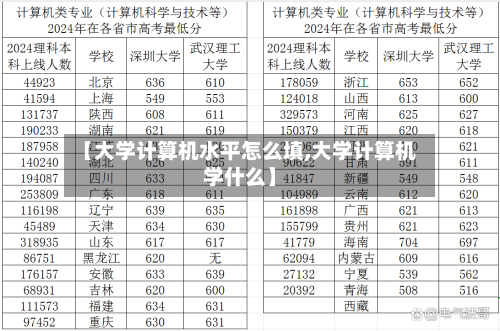 【大学计算机水平怎么填,大学计算机学什么】