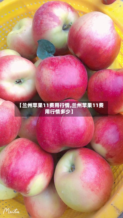 【兰州苹果11费用行情,兰州苹果11费用行情多少】-第2张图片