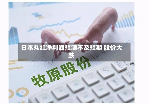 日本丸红净利润预测不及预期 股价大跌