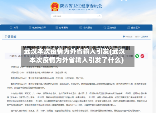 武汉本次疫情为外省输入引发(武汉本次疫情为外省输入引发了什么)-第1张图片