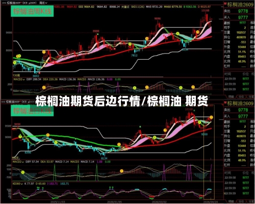 棕榈油期货后边行情/棕榈油 期货-第2张图片