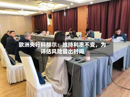 欧洲央行科赫尔：维持利率不变，为评估风险留出时间-第2张图片