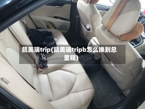 凯美瑞trip(凯美瑞tripb怎么换到总里程)-第3张图片
