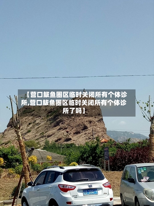 【营口鲅鱼圈区临时关闭所有个体诊所,营口鲅鱼圈区临时关闭所有个体诊所了吗】