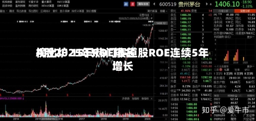 A股2025年ROE排名榜出炉 15只热门赛道股ROE连续5年增长-第3张图片