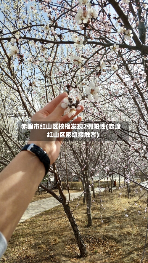 赤峰市红山区核检发现2例阳性(赤峰红山区密切接触者)-第2张图片