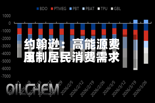约翰逊：高能源费用压制居民消费需求