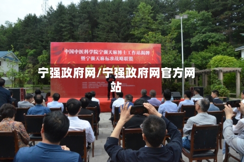 宁强政府网/宁强政府网官方网站