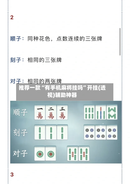 推荐一款“有手机麻将挂吗”开挂(透视)辅助神器-第3张图片