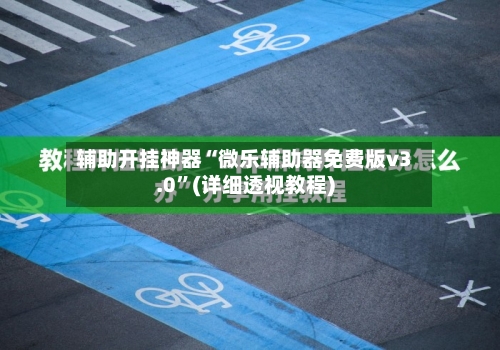 辅助开挂神器“微乐辅助器免费版v3.0”(详细透视教程)-第3张图片