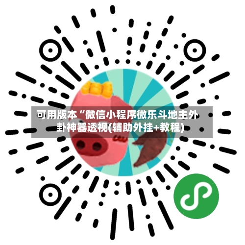 可用版本“微信小程序微乐斗地主外卦神器透视(辅助外挂+教程)-第2张图片