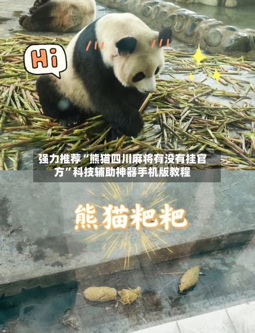 强力推荐“熊猫四川麻将有没有挂官方	”科技辅助神器手机版教程-第3张图片