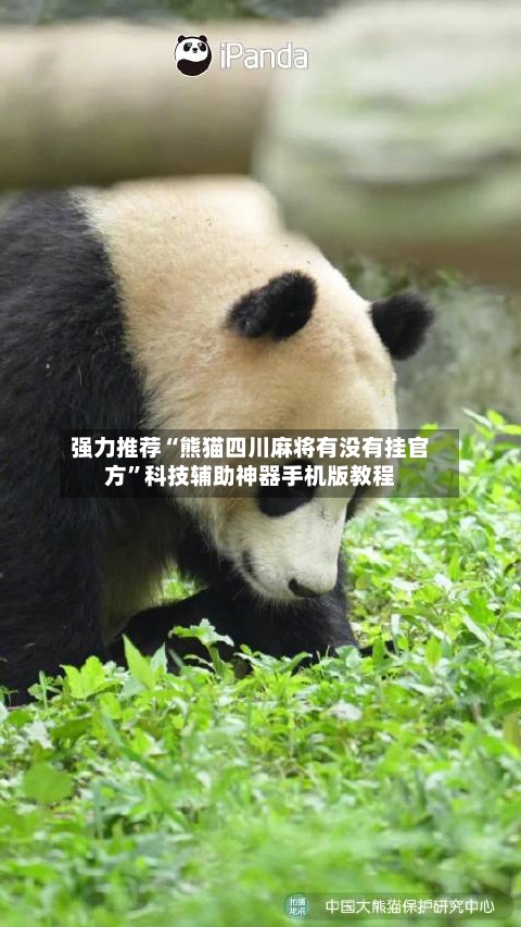 强力推荐“熊猫四川麻将有没有挂官方”科技辅助神器手机版教程-第2张图片