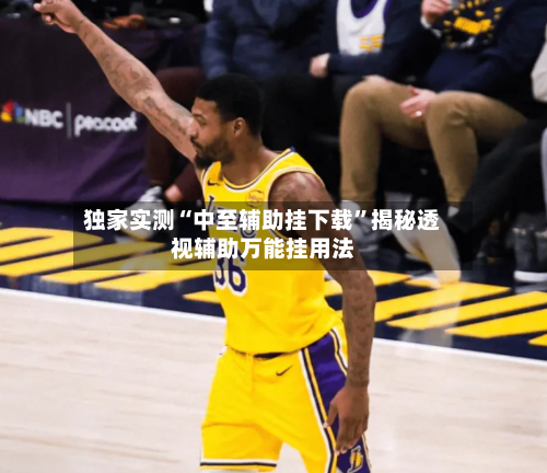 独家实测“中至辅助挂下载”揭秘透视辅助万能挂用法