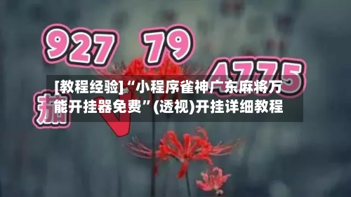 [教程经验]“小程序雀神广东麻将万能开挂器免费”(透视)开挂详细教程-第3张图片