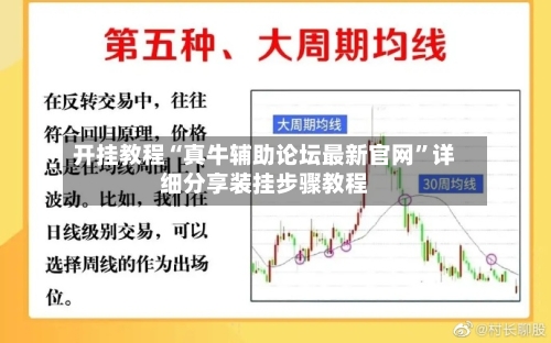开挂教程“真牛辅助论坛最新官网”详细分享装挂步骤教程-第3张图片