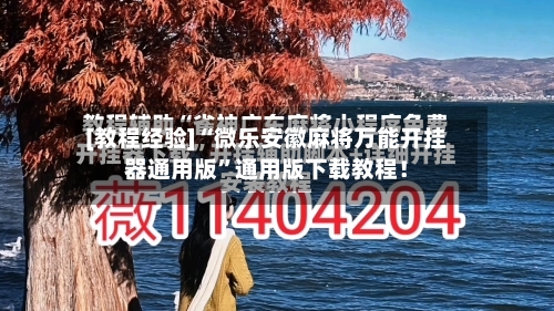 [教程经验]“微乐安徽麻将万能开挂器通用版	”通用版下载教程！-第2张图片