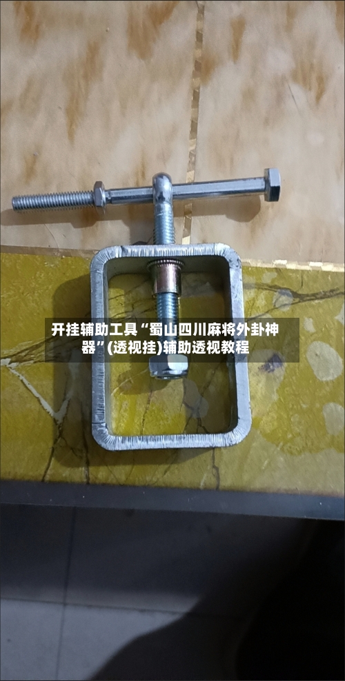 开挂辅助工具“蜀山四川麻将外卦神器”(透视挂)辅助透视教程-第2张图片