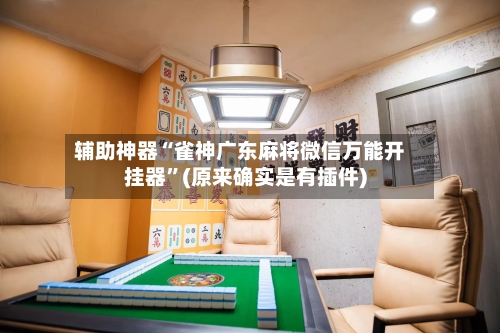 辅助神器“雀神广东麻将微信万能开挂器”(原来确实是有插件)